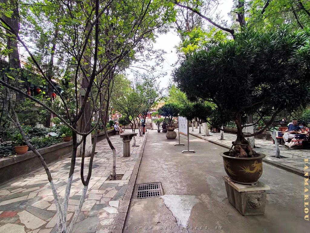 Kunming - En Ville - 11.jpg